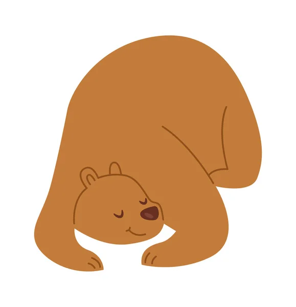 Dormindo Urso Selvagem Pai Vector Ilustração —  Vetores de Stock