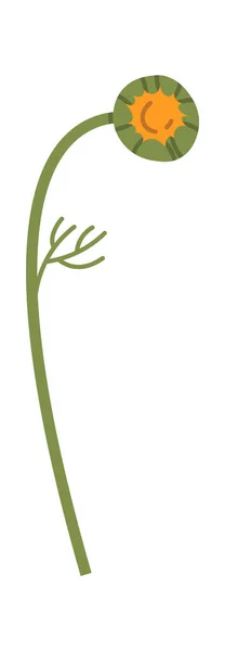 Ромашковый Стебель Векторной Иллюстрацией Бада — стоковый вектор