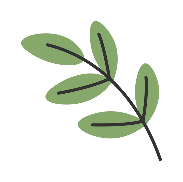 葉のある木の枝 ベクトルイラスト — ストックベクタ
