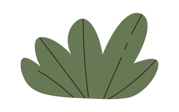 Bush Woody Tanaman Vector Illustration - Stok Vektor