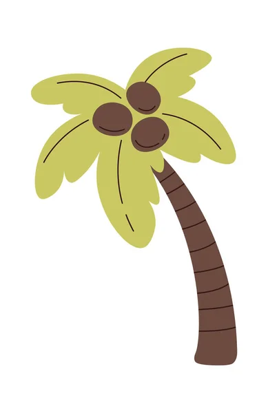Flat Palm Tree Vector Illustration — Stock Vector