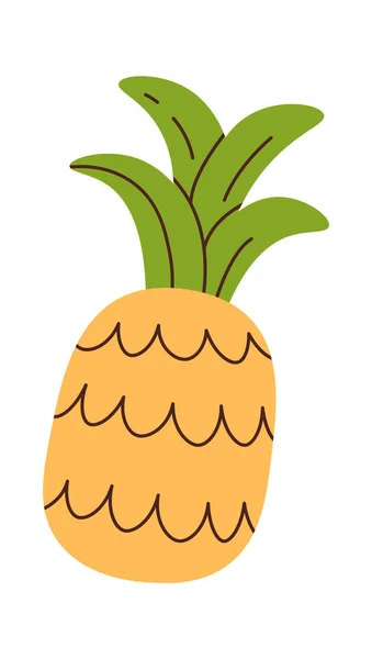 Ananas Exotisch Fruit Vector Illustratie — Stockvector