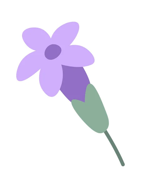 Lavendel Blumen Pflanzen Vektor Illustration — Stockvektor