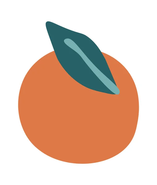 Pomerančové Ovoce Vektorovou Ilustrací — Stockový vektor