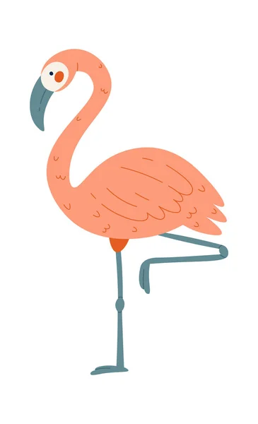 Flamingo Bird Standing One Leg Vector Illustration — Stock Vector
