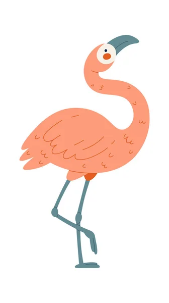 Flamingo Vogel Staande Één Been Vector Illustratie — Stockvector
