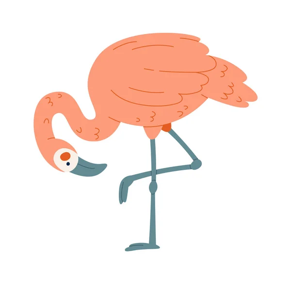 Flamingo Vogel Staande Één Been Vector Illustratie — Stockvector