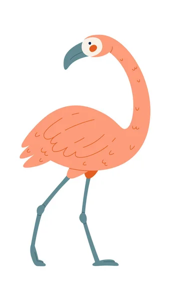 Álló Flamingo Madár Vektor Illusztráció — Stock Vector