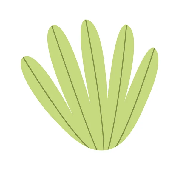 Tropische Blattpflanze Blatt Vektor Illustration — Stockvektor
