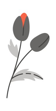 Haşhaş çiçeği Vektör İllüstrasyonu