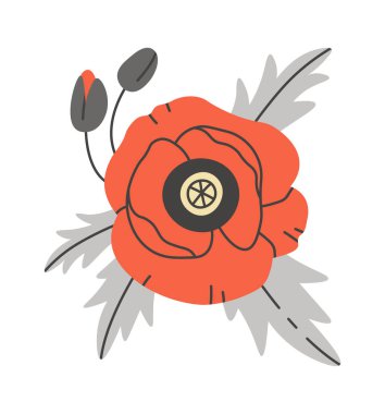 Vector Illustration yapraklı yaban çiçeği gelinciği