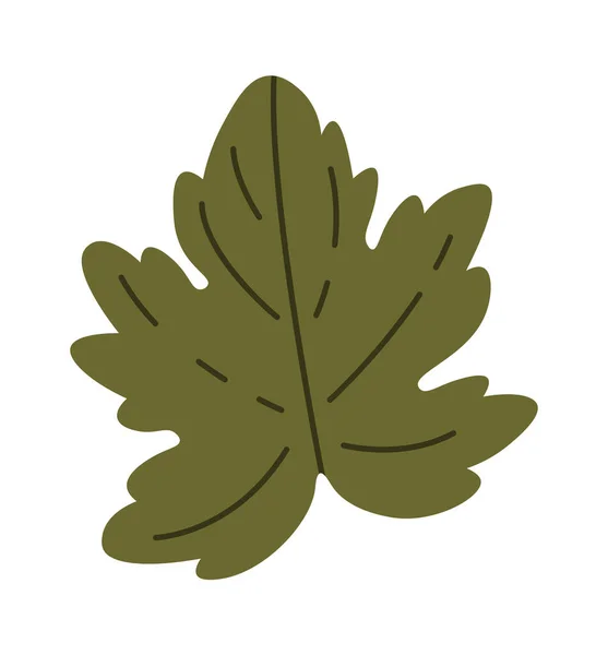 Maple Tree Leaf Vector Illustratie — Stockvector
