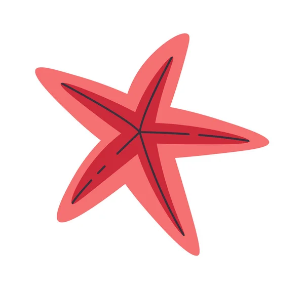Starfish Sea Animal Vector Illustration — Stock Vector