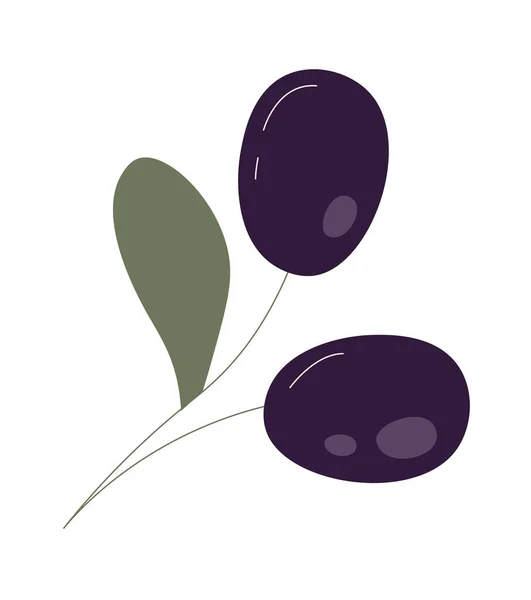 Оливковые Плоды Векторной Иллюстрации — стоковый вектор
