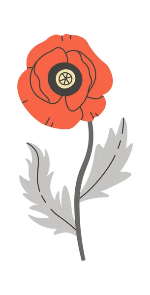 Poppy Wildflower Floral Vector Illustration — Stock Vector
