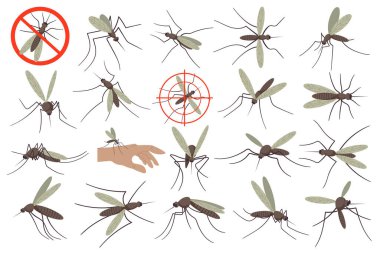 Mosquitoes flat illustrations set. Small flying insect, bites and sucks blood. Neutralize bug. Color design elements clipart