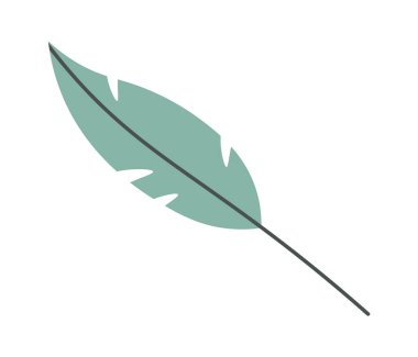 Düz Kuş Tüyü Vektör İllüstrasyonu