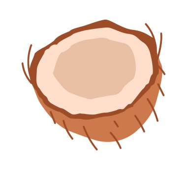 Hindistan Cevizi Kabuğu Meyve Vektörü İllüstrasyonu