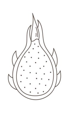 Pitaya Meyve Sıralı Vektör İllüstrasyonu