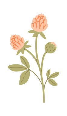 Yaprak Vektörü İllüstrasyonlu Yabani Çiçekler