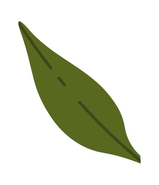 Növényi Levél Ikon Vektor Illusztráció — Stock Vector