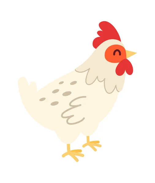 Chicken Domestic Fowl Vector Illustration — Stock Vector
