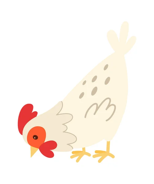 Ilustrasi Vektor Unggas Ayam Domestik - Stok Vektor