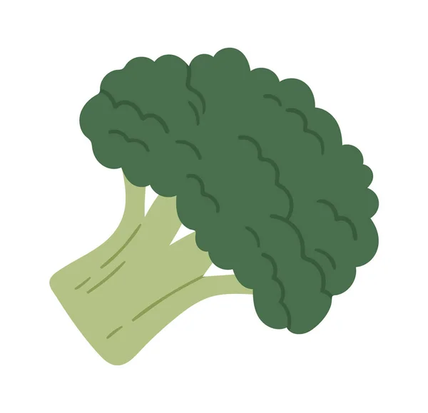 Ilustração Vetor Ícone Vegetal Brócolis — Vetor de Stock