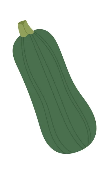 Zucchini Vegetable Icon Vector Illustration — 스톡 벡터