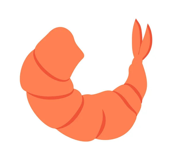 Shrimp Mollusk Seafood Vector Illustration — стоковий вектор