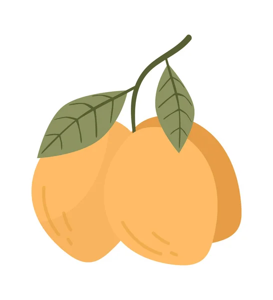 枝にレモン柑橘系の果物ベクトルイラスト — ストックベクタ