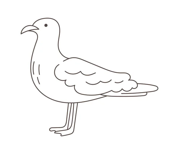 Sea Gull Bird Vector Ilustração — Vetor de Stock