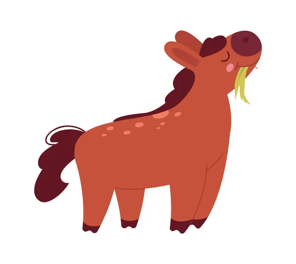 Cavalo Fazenda Animal Vetor Ilustração — Vetor de Stock