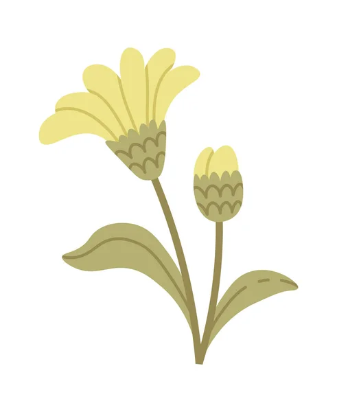 Polne Kwiaty Liśćmi Ilustracja Wektora — Wektor stockowy