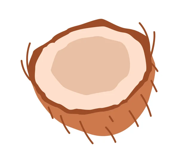 코코넛 껍데기의 열매를 만드는 반사기 — 스톡 벡터