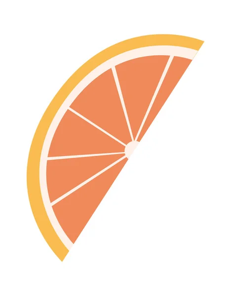 Potongan Citrus Fruit Vector Illustration - Stok Vektor