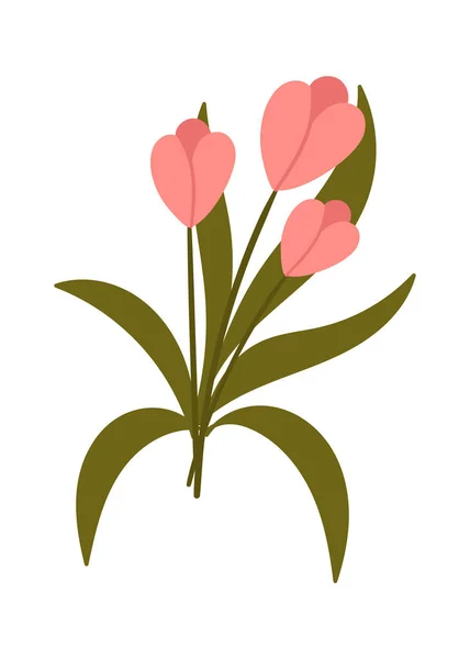 Аромат Векторной Иллюстрации Цветов Тюльпана — стоковый вектор