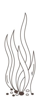 Yosun Bitkisi Sıralı Vektör İllüstrasyonu