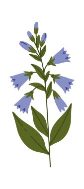 Harebell Yaban Çiçekleri Brunch Vektör İllüstrasyonu