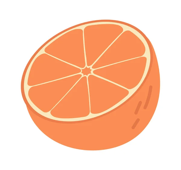 Ilustrasi Slice Vector Orange Citrus - Stok Vektor