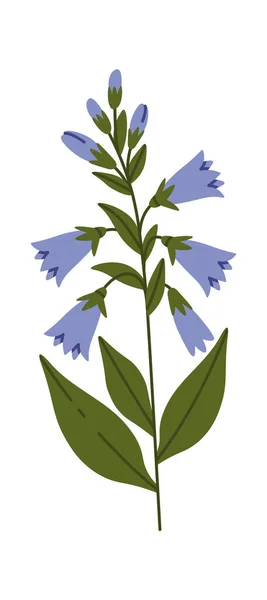 Harebell Wildflowers Brunch Vector Illustration — Stockový vektor