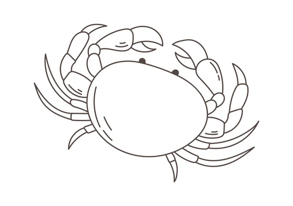 Sea Crab Clam Vector Illustration — Stockový vektor