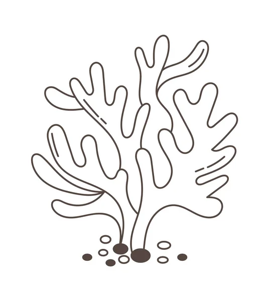 Korallsjöns Växtvektor Illustration — Stock vektor
