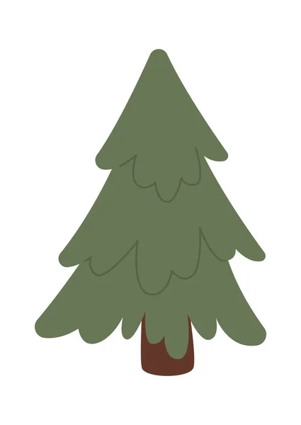 Spruce Fir Tree Vector Illustration — Stock Vector