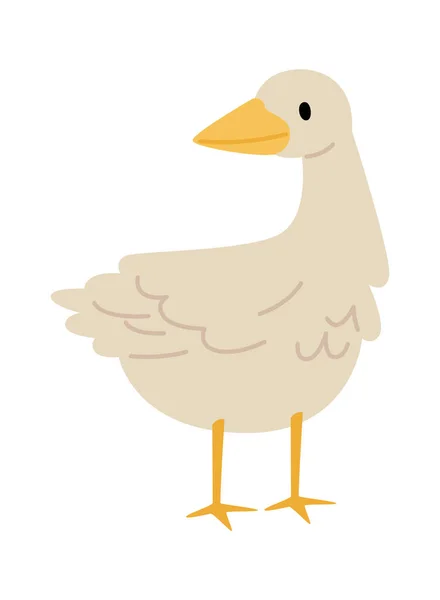 Pato Bird Vector Ilustração — Vetor de Stock