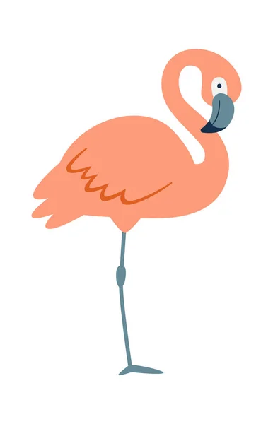 Standing Flamingo Bird Vector Illustration — Stock Vector