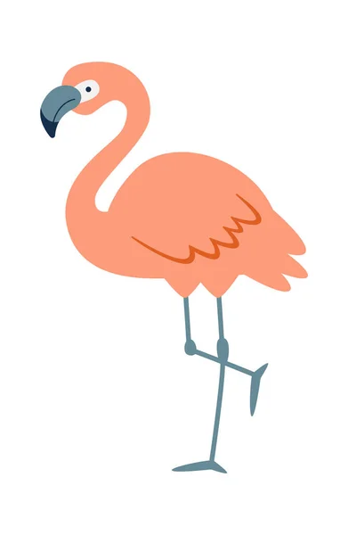 Flamingo Standing One Leg Vector Illustration — Stock Vector