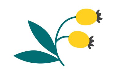 Brunch Vektörü İllüstrasyonunda Gül Kalçası