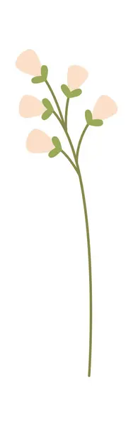 Дикий Цветок Стволовом Векторе — стоковый вектор