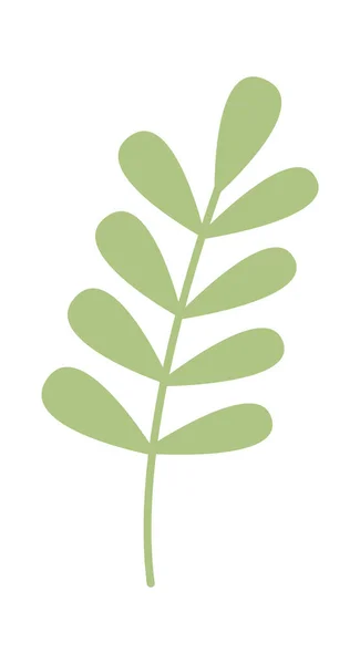 枝の葉ベクター イラスト — ストックベクタ